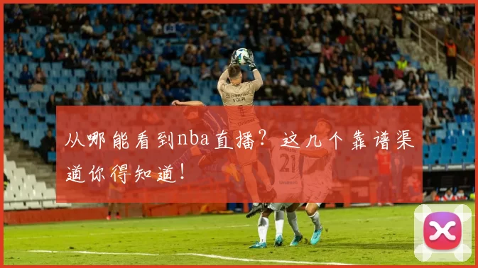 从哪能看到nba直播？这几个靠谱渠道你得知道！