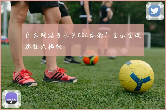 什么网站可以买nba体彩？合法合规途径大揭秘！