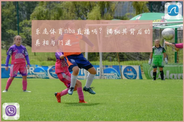 乐虎体育nba直播吗？揭秘其背后的真相与门道